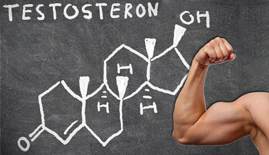 bord met uitleg over testosteron